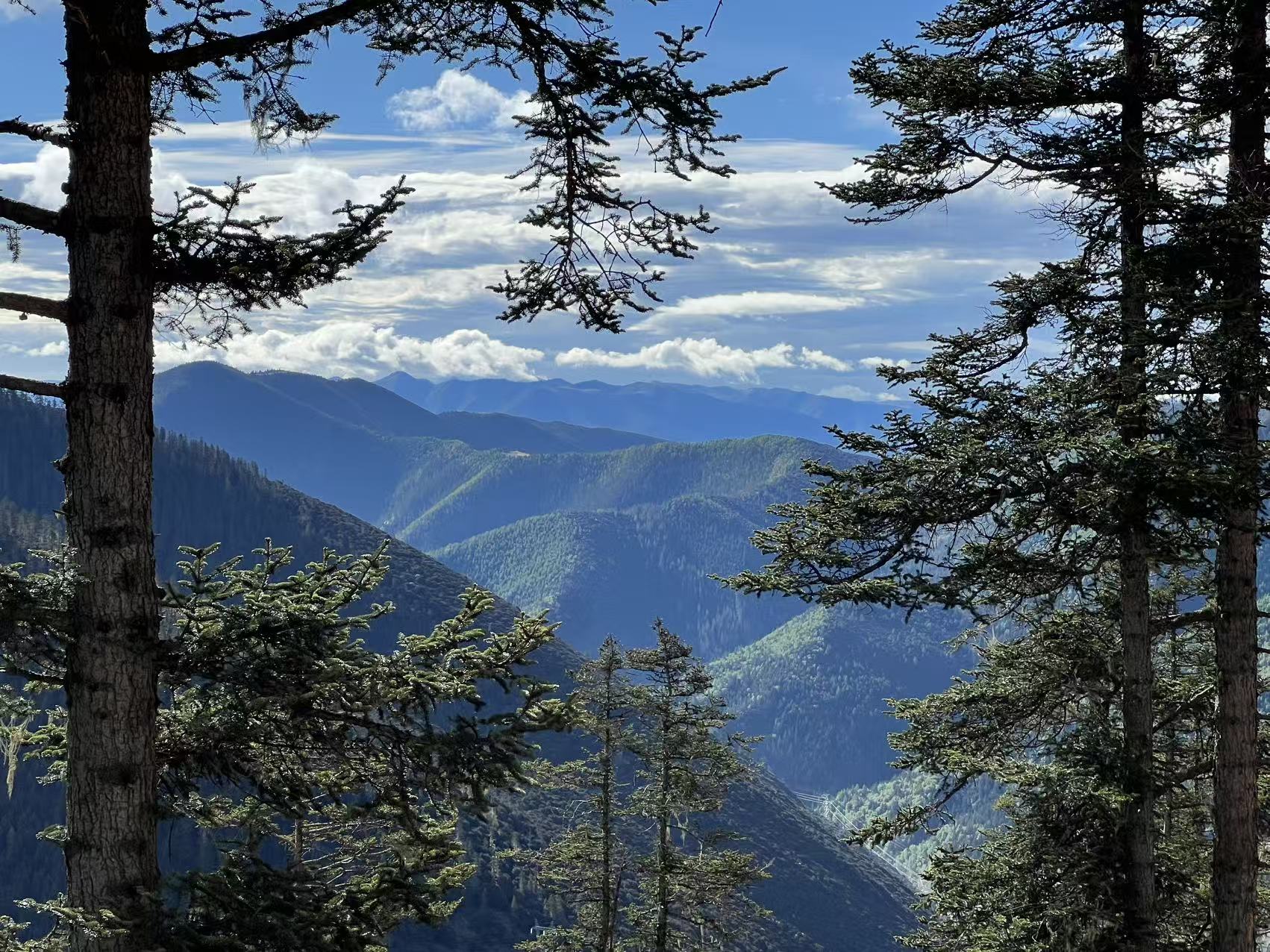 川西群山与高山森林